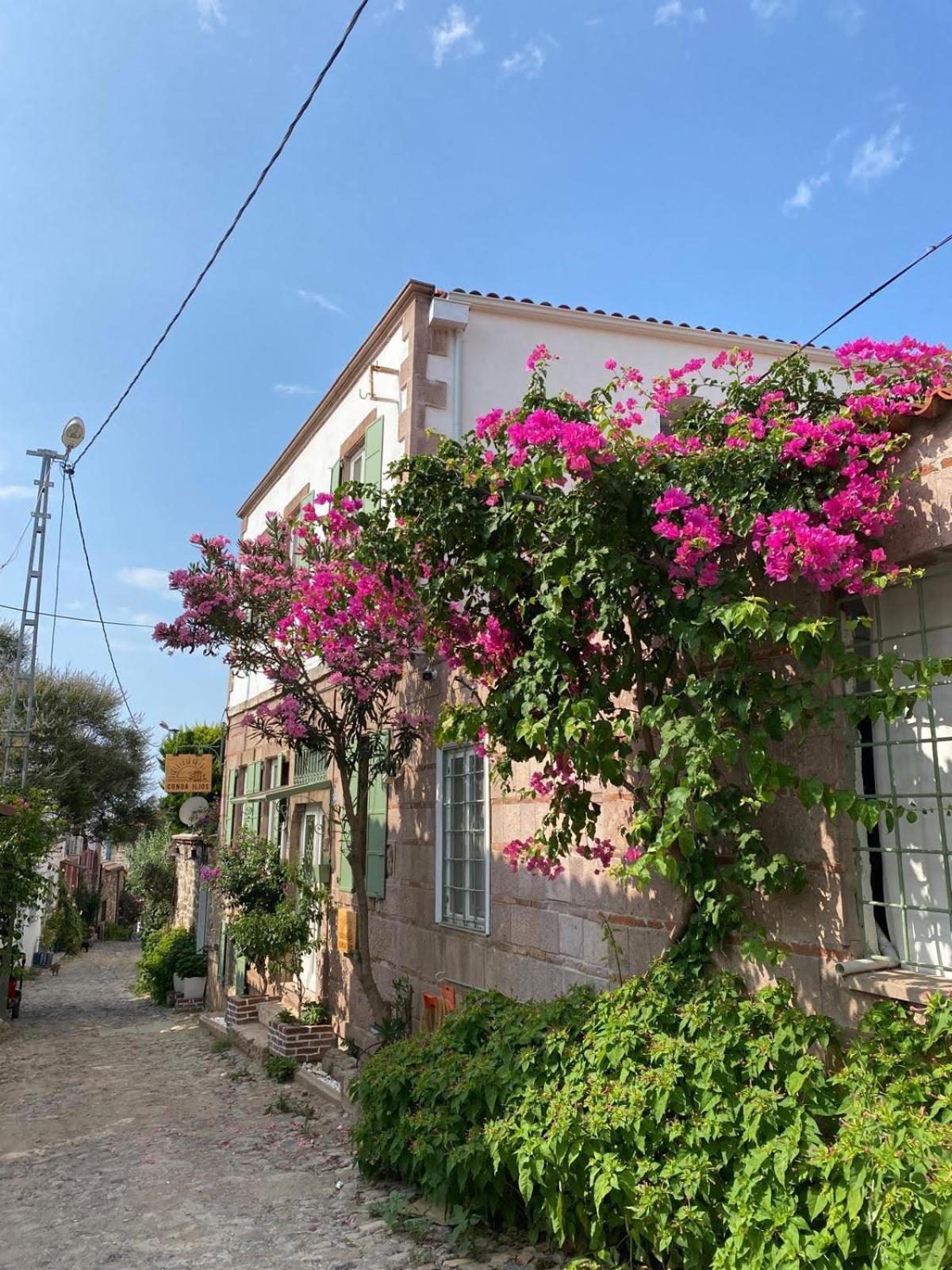 Hotel Cunda Ilios Ayvalı Exterior foto